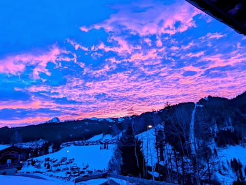 Chalet Camomille Chalet in Les Gets