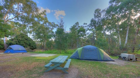 Crystal Brook Tourist Park Campground/ 
RV Resort in Melbourne