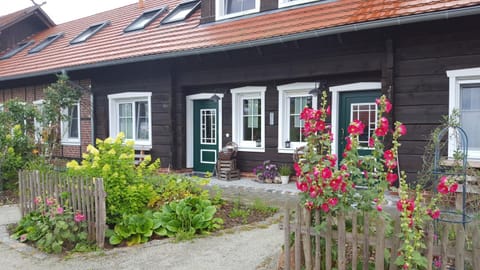 Patio, Facade/entrance