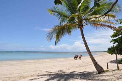 Nearby landmark, Horse-riding, Beach, Hiking, On site