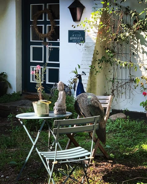 Patio, Facade/entrance, Pets