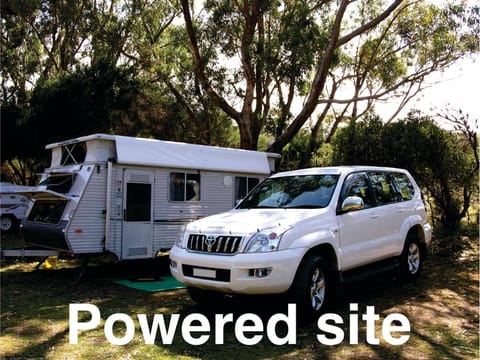 Bimbi Park - Camping Under Koalas Campingplatz /
Wohnmobil-Resort in Cape Otway