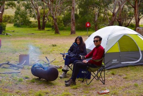 Bimbi Park - Camping Under Koalas Terrain de camping /
station de camping-car in Cape Otway