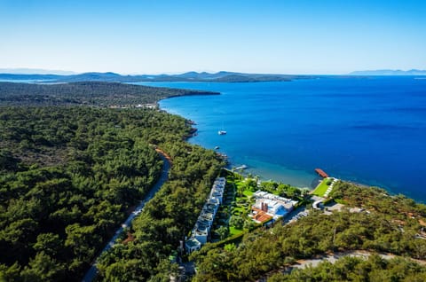 Bird's eye view, Garden, Sea view