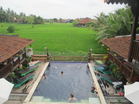 Green Paddy Hostel & Villa Hostel in Ubud