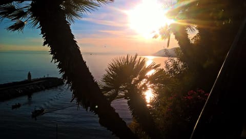 Summer, On site, Sunset