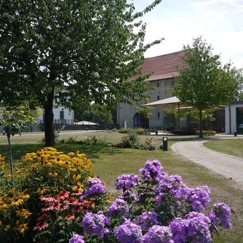 Property building, View (from property/room), Garden view