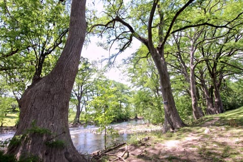 Natural landscape