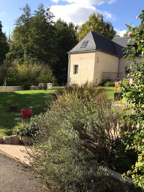 Garden view, Inner courtyard view
