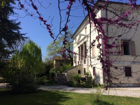 Property building, Garden, Garden view