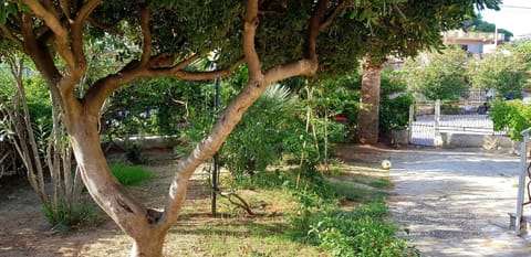 Garden, Garden view