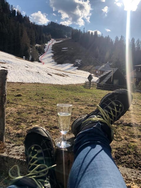 Urige Almhütte Innerkrems House in Carinthia, Austria