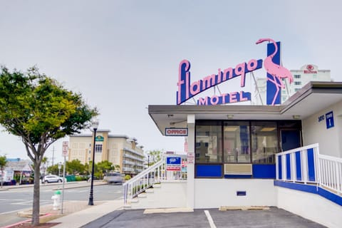 Flamingo Motel Motel in Ocean City