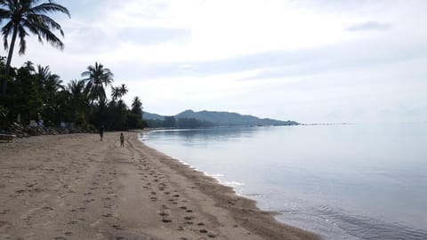 Natural landscape, Other, Beach, Area and facilities