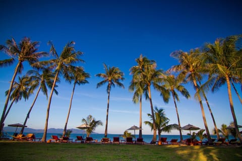 Coco Palm Beach Resort - SHA Extra Plus Resort in Ko Samui