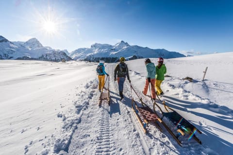 Natural landscape, Winter, Sports