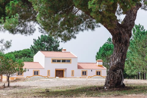 Property building, Natural landscape, Garden view