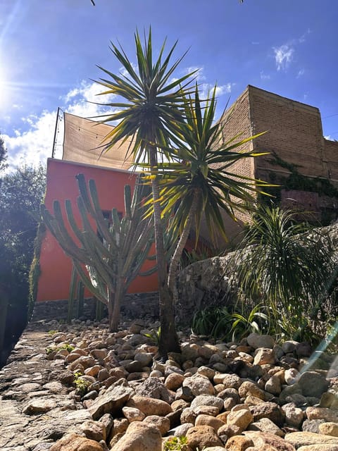 Garden, Garden, Garden view