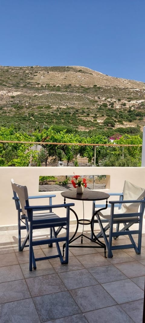 Natural landscape, View (from property/room), Balcony/Terrace, Dining area, Mountain view