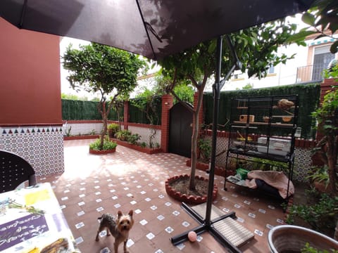 Villa Patricia Vacation rental in Malaga