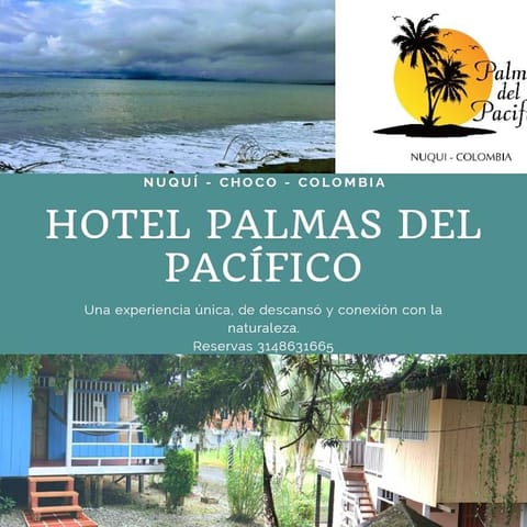 Hotel Palmas del Pacifico Hôtel in Nuquí