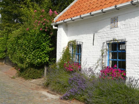 Property building, Street view