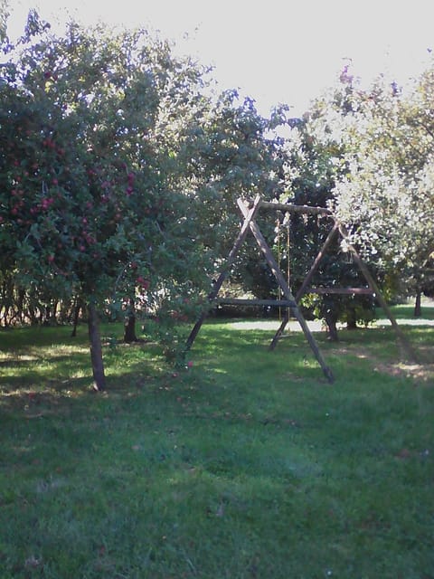 Children play ground, Garden