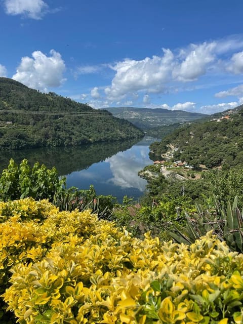 Natural landscape, Mountain view, River view