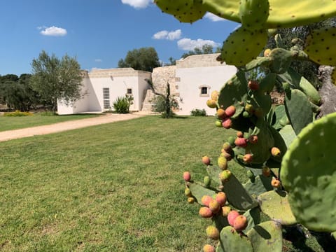 The Paradise - Il Paradiso di Ostuni Villa in Province of Taranto