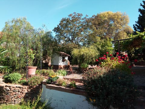 Property building, Garden view