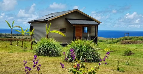 Day, Natural landscape, Garden, Garden view, Sea view