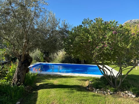 Garden, Garden view, Pool view, Pool view, Swimming pool