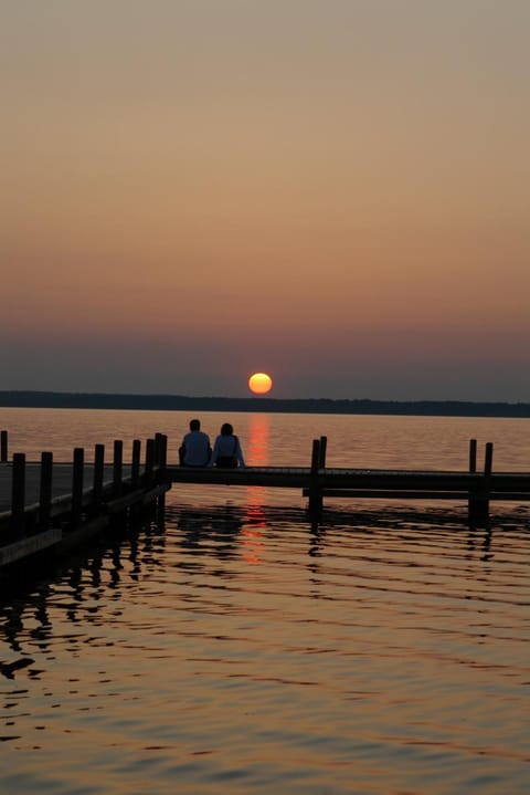 Guests, Sunset