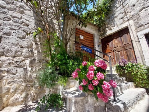 Bluemarine Rooms & Apartments Bed and Breakfast in Kotor Municipality