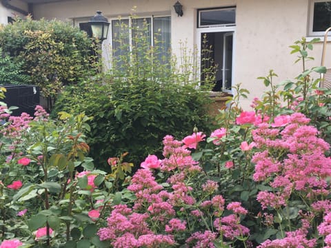 Garden, Garden, Balcony/Terrace