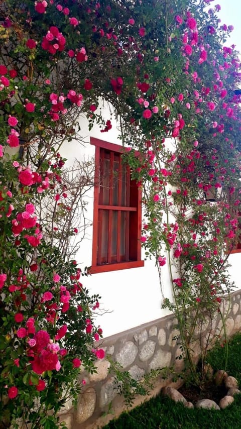 Balcones de San Carlos - casa Balcones House in Catamarca Province, Argentina