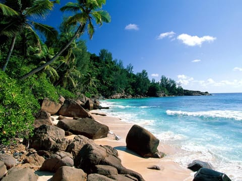 Nearby landmark, Natural landscape, Beach