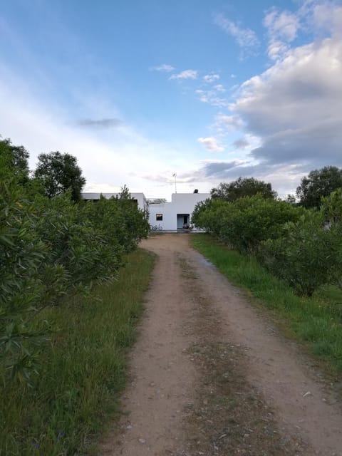 Casa do Vale da Terra Negra House in Évora District, Portugal