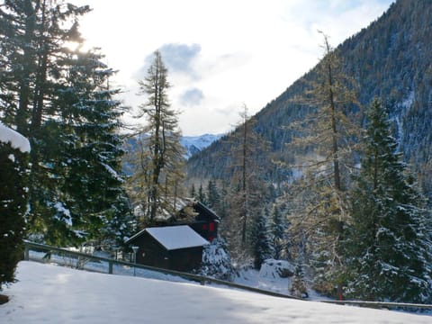 Apartment Breya 2 by Interhome Apartment in Canton of Valais