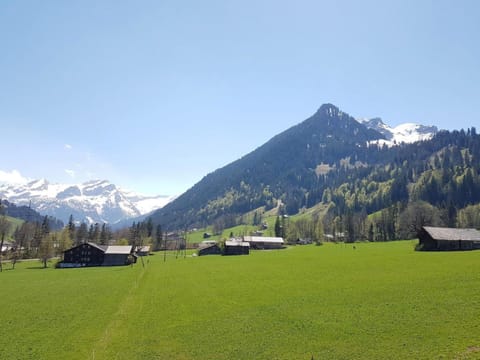 Apartment Farfalla by Interhome Apartment in Saanen