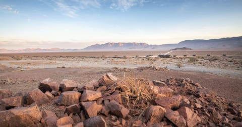 Hoodia Desert Lodge Capanno nella natura in Namibia