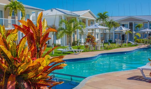 Day, Garden, Pool view, Swimming pool, sunbed