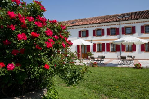 Facade/entrance, Garden