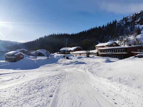 Day, Natural landscape, Winter, Mountain view