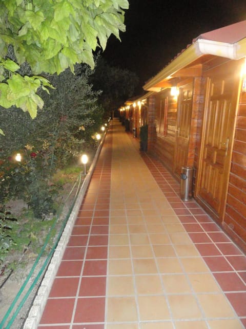 Hostal Gran Avenida Bed and Breakfast in La Mancha