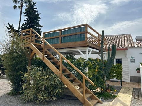 Property building, Day, Solarium, Garden view