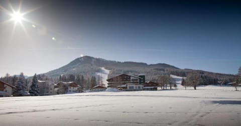 Winter, Area and facilities