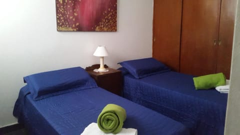 Dpto San Martin Apartment in Salta