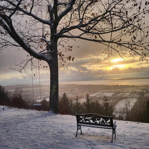 Natural landscape, Winter