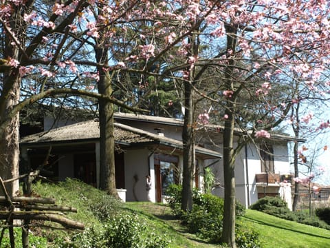 Facade/entrance, Garden